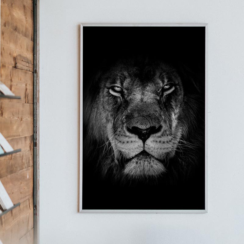 poster leeuw zwart wit