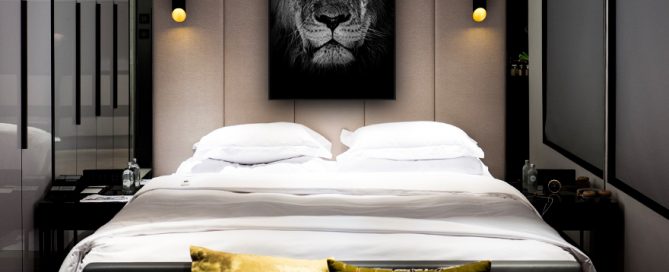 poster leeuw slaapkamer