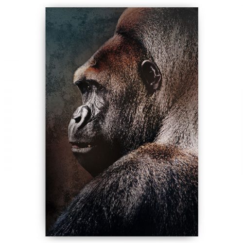 poster vintage gorilla kleur