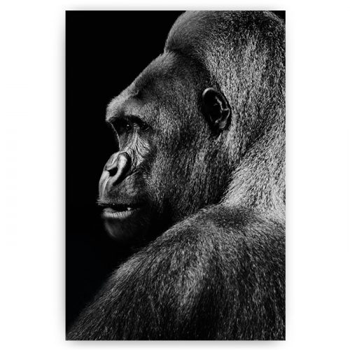 poster gorilla zwart wit
