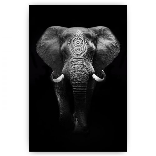 poster zwart wit olifant