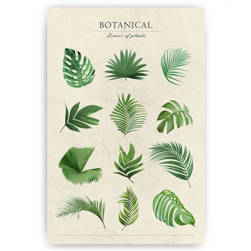 botanische poster planten bladeren