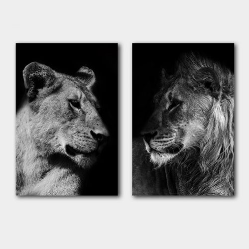 poster set leeuw leeuwin zwart wit