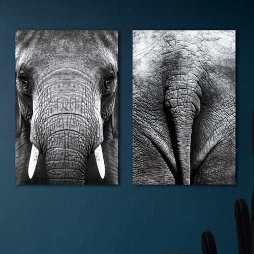poster set olifant kop staart