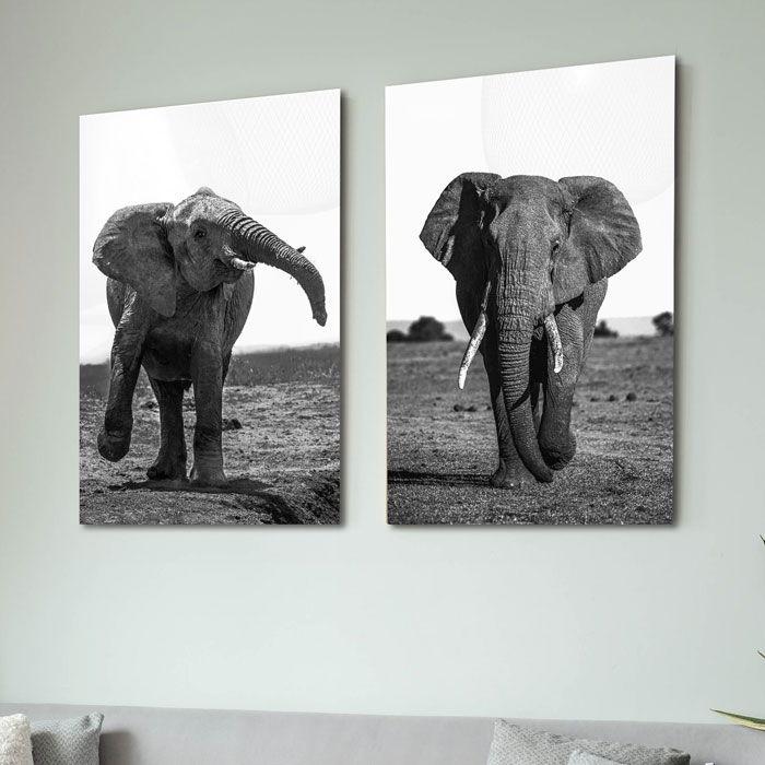 posters olifanten