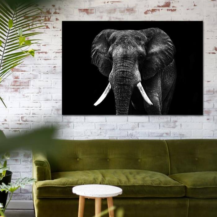 poster olifant zwart wit