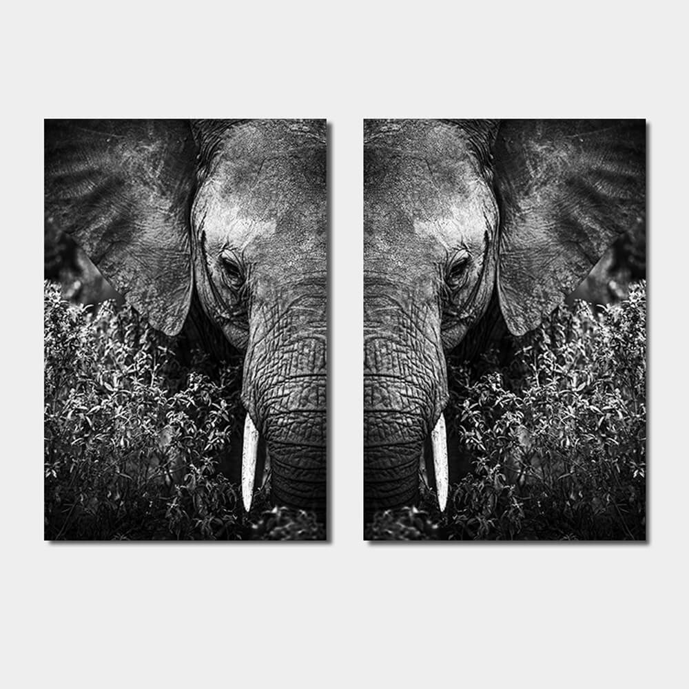 poster set kop olifant