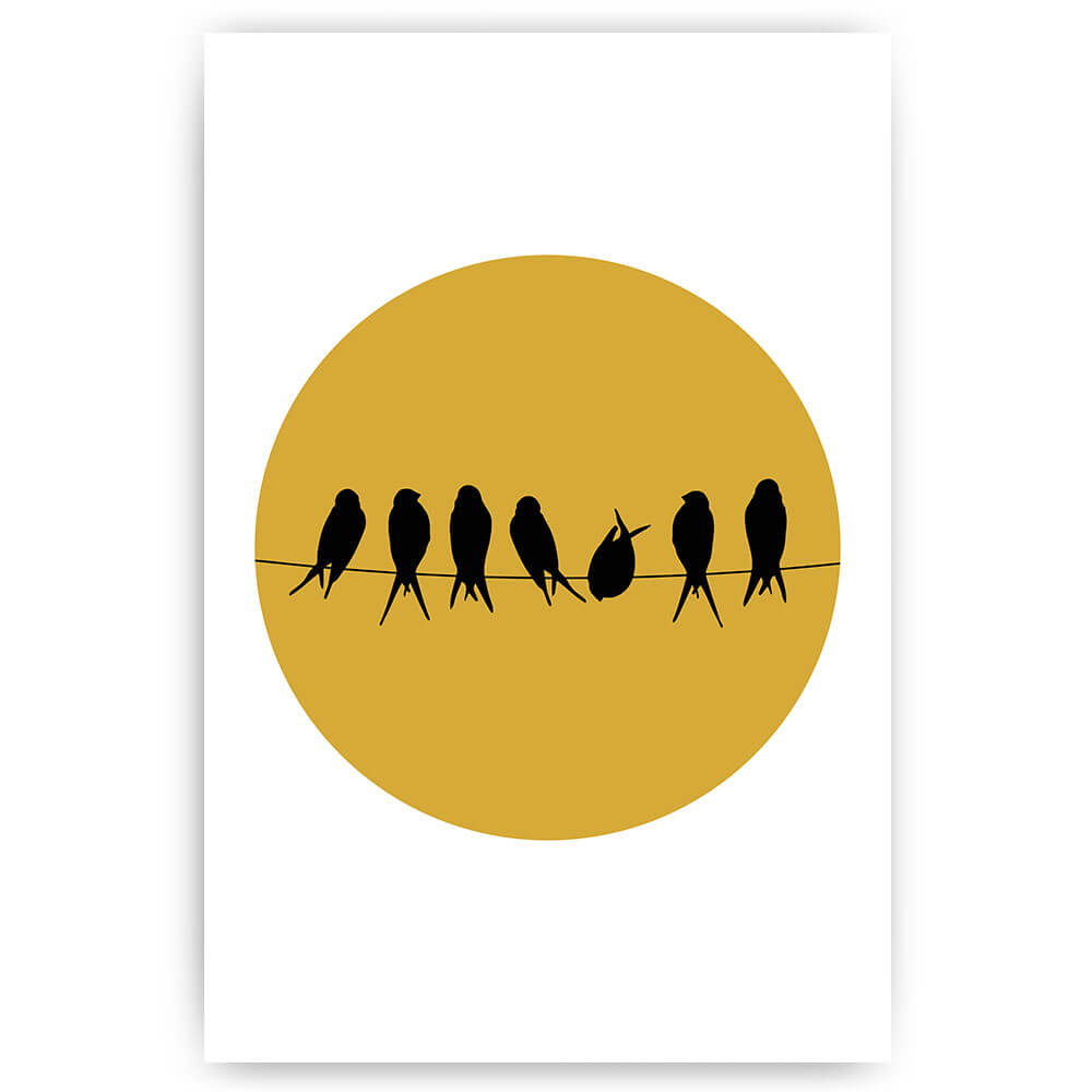 vogels in de zon