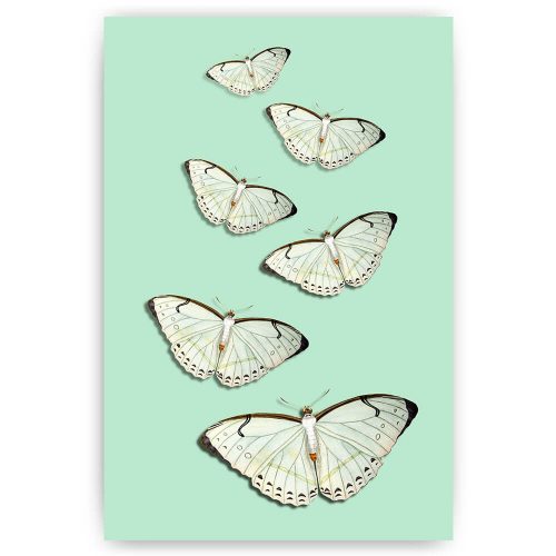 witte vlinders poster schilderij