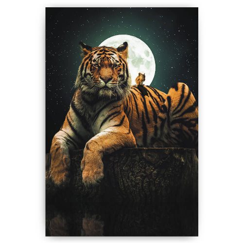 tijger met volle maan