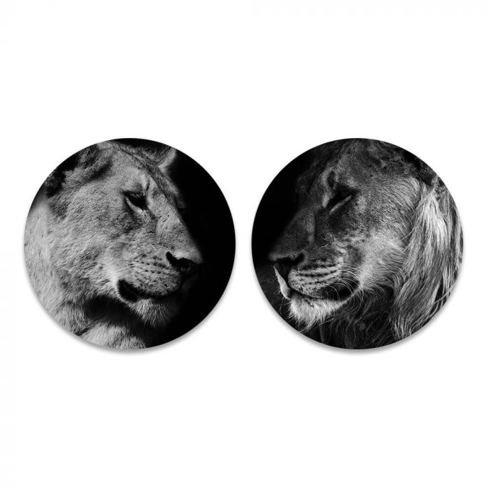 leeuw leeuwin duo zwart wit