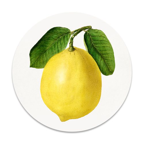 vintage citroen