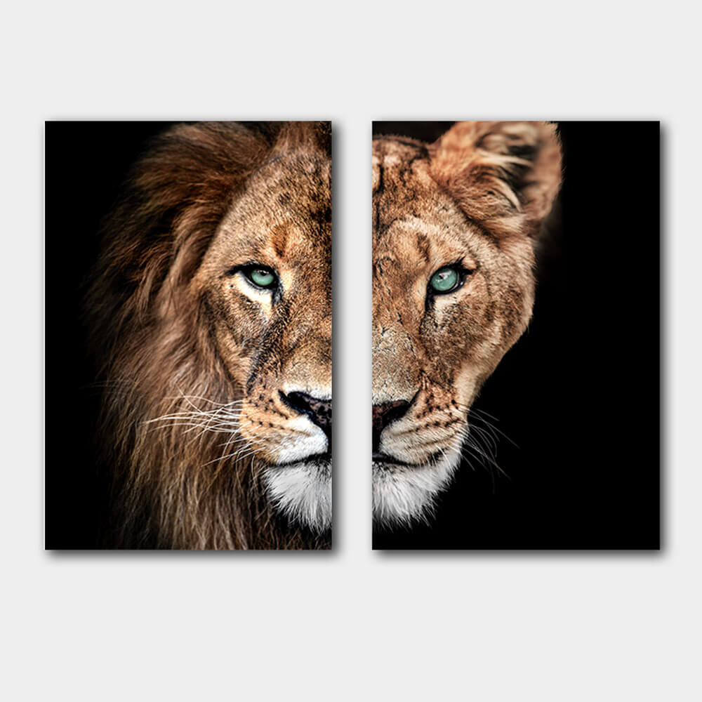 Set halve leeuwenkop - leeuw en leeuwin kleur