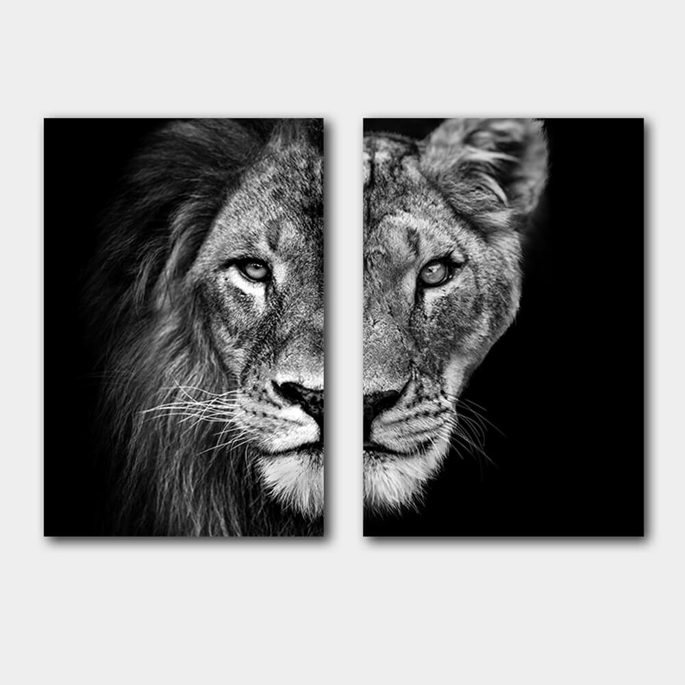 leeuwenkop leeuw en leeuwin