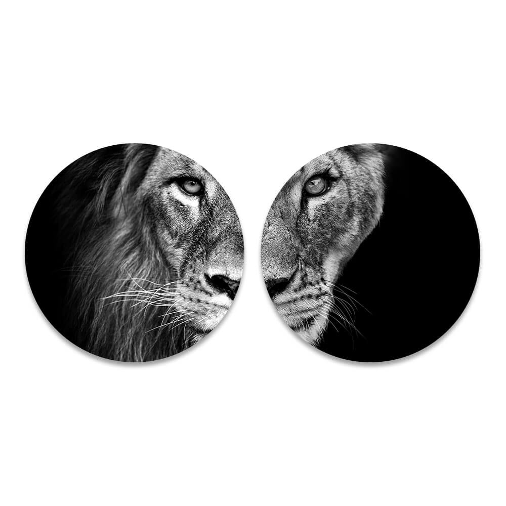 Set halve leeuwenkop - leeuw en leeuwin zwart wit