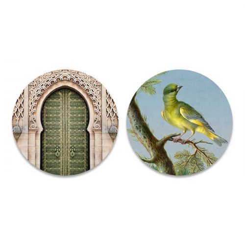 poort en groene vogel