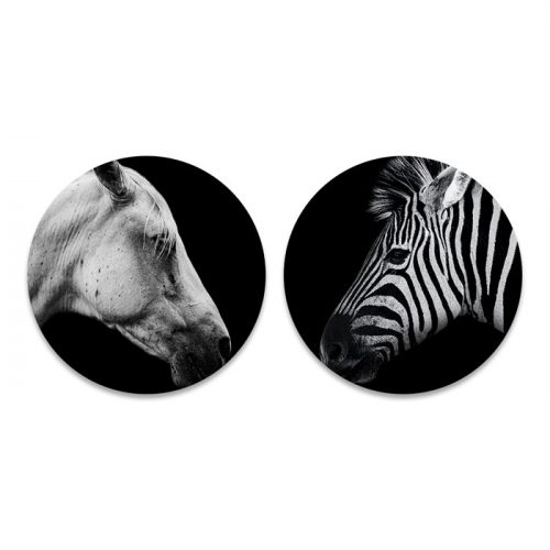 paard zebra